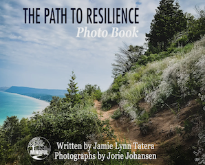 The Path to Resilience