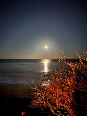 Moon over the Lake Michigan