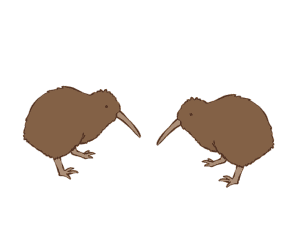 We Are All Kiwi Birds