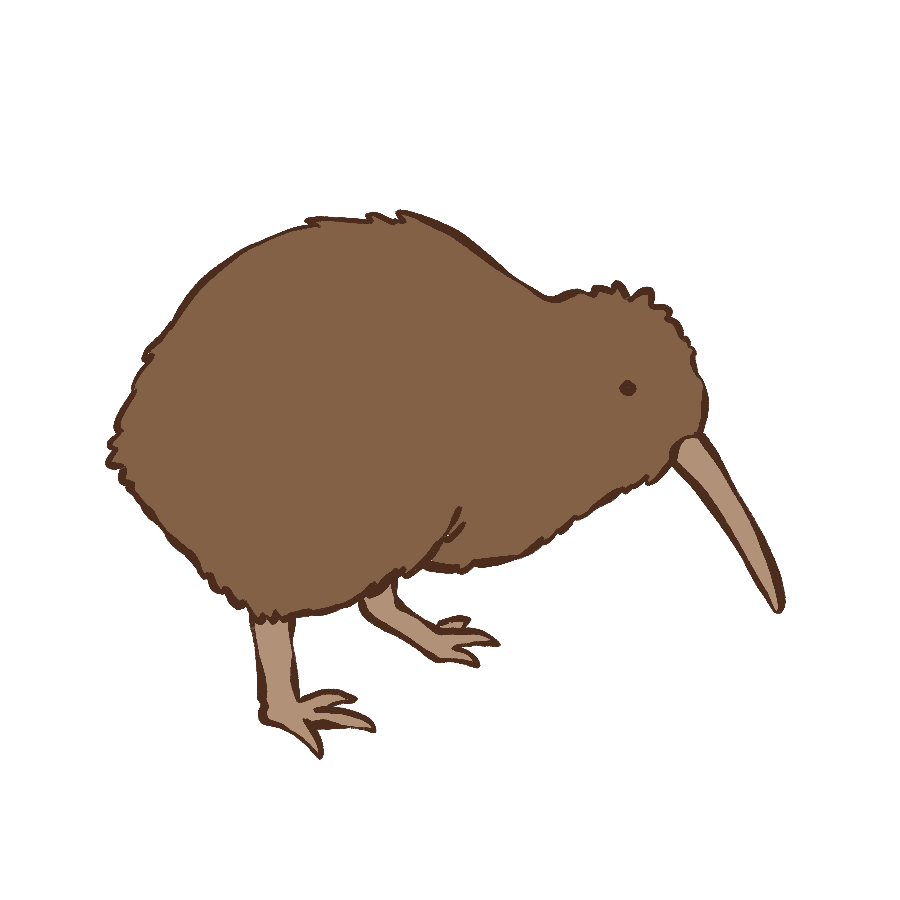 This kiwi bird illustration is from my first workbook for kids, dedicated to my two kiwi bird daughters.
